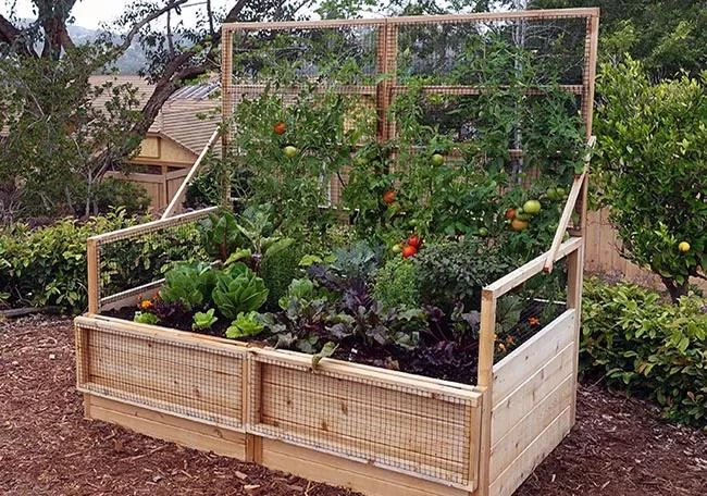 Garden In A Box With Trellis/Lid Option, 3' X 6' 4 Garden In A Box With Trellis/Lid Option, 3' X 6' - Image 2
