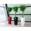 Lechuza® Rondo Self-Watering Planters 2 Lechuza® Rondo Self-Watering Planters -Gardenhaus Shop 8594586 01V tif