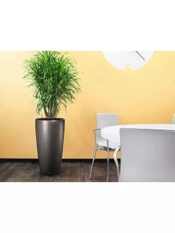 Lechuza® Rondo Self-Watering Planters -Gardenhaus Shop 8594586 02V tif