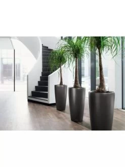 Lechuza® Rondo Self-Watering Planters -Gardenhaus Shop 8594586 03V tif