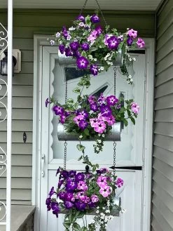 Galvanized Hanging Triple Planter -Gardenhaus Shop 8595213 02CUST tif