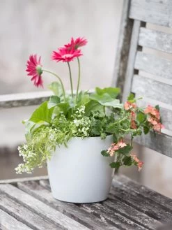 Viva Round Self-Watering Planter, 7" Diameter -Gardenhaus Shop 8595222 1139 tif