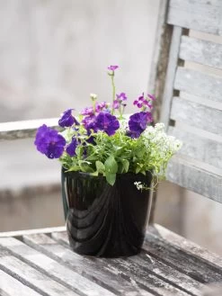 Viva Round Self-Watering Planter, 7" Diameter -Gardenhaus Shop 8595222 1140 tif