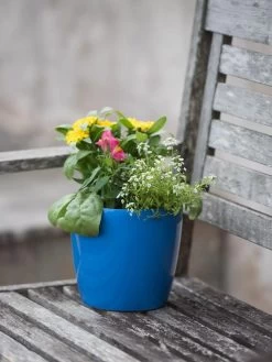 Viva Round Self-Watering Planter, 7" Diameter -Gardenhaus Shop 8595222 1143 tif