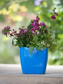 Viva Square Self-Watering Planter, 7" Diameter -Gardenhaus Shop 8595223 1113 tif