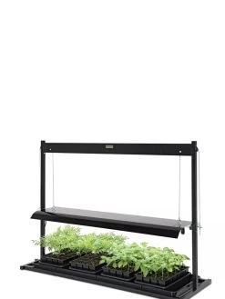 LED SunLite® Tabletop Garden -Gardenhaus Shop 8595552 10125 tif