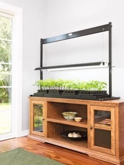 LED SunLite® Tabletop Garden