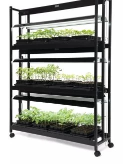 LED SunLite® 3-Tier Garden 12 LED SunLite® 3-Tier Garden -Gardenhaus Shop 8595554 10113 tif