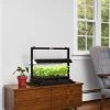 LED SunLite® Compact Tabletop Garden 1 LED SunLite® Compact Tabletop Garden -Gardenhaus Shop 8595555 101 small led grow lights sunlite compact tabletop garden tif