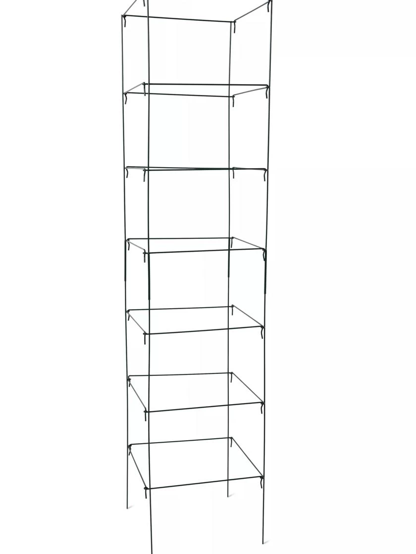 Mammoth Tomato Towers, Set Of 2 4 Mammoth Tomato Towers, Set Of 2 - Image 2