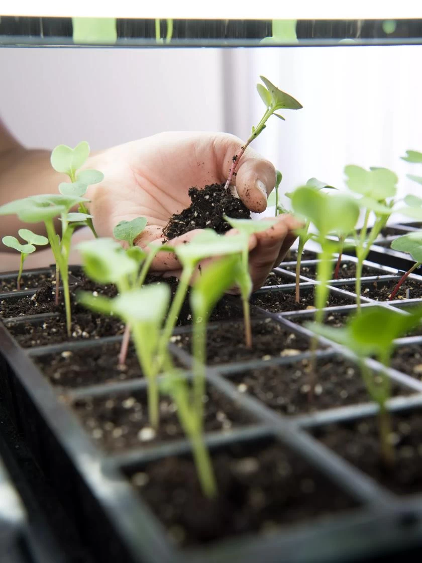 LED Stack-n-Grow Lights - Base Unit 6 LED Stack-n-Grow Lights - Base Unit - Image 4