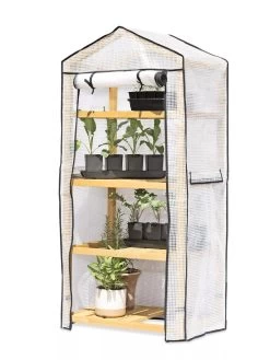 VegTrug® Patio Greenhouse -Gardenhaus Shop 8595803 7136 tif