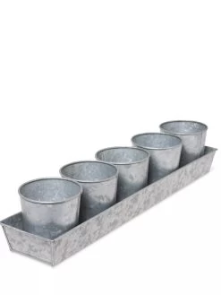 Galvanized Herb Planters With Rectangular Tray -Gardenhaus Shop 8595903 3924 tif