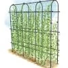 Titan Pea Tunnel 1 Titan Pea Tunnel -Gardenhaus Shop 8596275 0002 1 tif