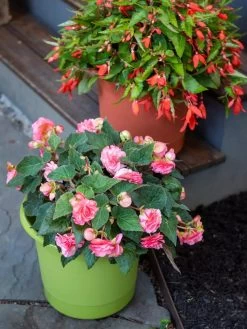 Eezy Gro Self-Watering Planters 11 Eezy Gro Self-Watering Planters -Gardenhaus Shop 8596427 0034 tif