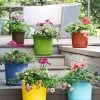 Eezy Gro Self-Watering Planters -Gardenhaus Shop 8596427 5498 tif
