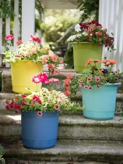 Eezy Gro Self-Watering Planters 13 Eezy Gro Self-Watering Planters -Gardenhaus Shop 8596427 8090 tif