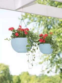 Weave Self-Watering Hanging Basket, 10" -Gardenhaus Shop 8596490 2069 tif