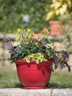 Mazzano Self-Watering Planters -Gardenhaus Shop 8596564 4883 tif