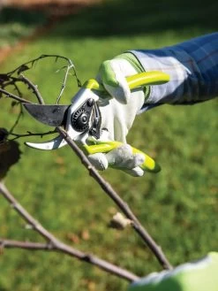 Gardener's Pro Pruner #2 -Gardenhaus Shop 8596605 032 tif