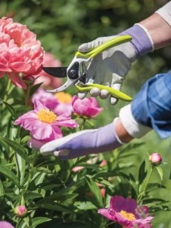 Gardener's Pro Pruner #2 -Gardenhaus Shop 8596605 1261 tif