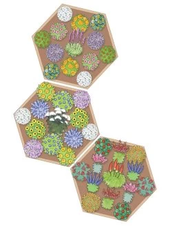 Pollinator Garden Bed -Gardenhaus Shop 8597000 Hummingbird Plan tif