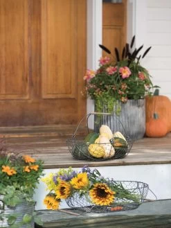 Galvanized Rim Planters -Gardenhaus Shop 8597379 1625 tif