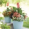Weave Self-Watering Round Planter, 14" 1 Weave Self-Watering Round Planter, 14" -Gardenhaus Shop 8597388 2165 tif