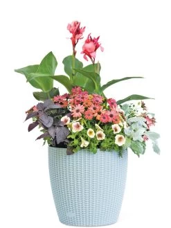 Weave Self-Watering Round Planter, 14" -Gardenhaus Shop 8597388 2175 tif