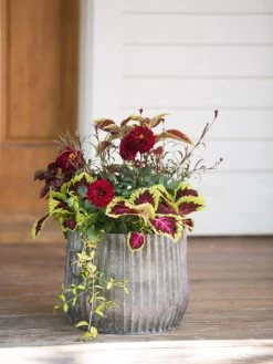 Galvanized Ribbed Planters -Gardenhaus Shop 8597435 1693 tif