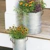 Galvanized Rim Planters 1 Galvanized Rim Planters -Gardenhaus Shop 8597442 1700 tif