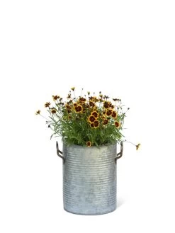 Galvanized Rim Planters -Gardenhaus Shop 8597442 1705 tif