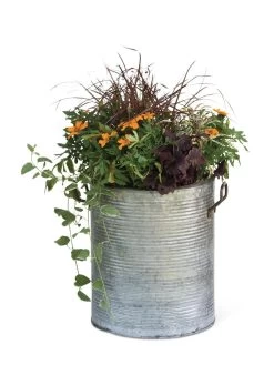 Galvanized Rim Planters -Gardenhaus Shop 8597443 1704 tif