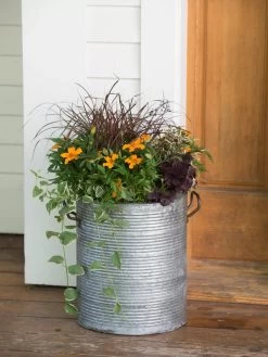 Galvanized Rim Planters -Gardenhaus Shop 8597443 1708 tif