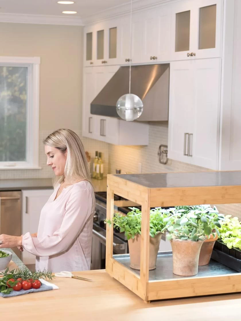 Low Bamboo LED Grow Light Garden 13 Low Bamboo LED Grow Light Garden - Image 11