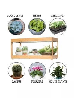 Low Bamboo LED Grow Light Garden 19 Low Bamboo LED Grow Light Garden -Gardenhaus Shop 8597720 3