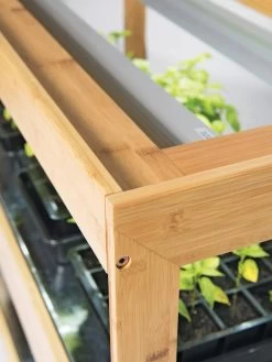 Bamboo LED Grow Light Garden For Succulents And Seeds 17 Bamboo LED Grow Light Garden For Succulents And Seeds -Gardenhaus Shop 8597720 7795 tif 2