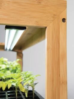 Bamboo Display LED Grow Light Garden -Gardenhaus Shop 8597720 7802 tif