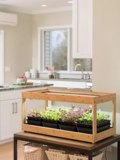 Low Bamboo LED Grow Light Garden 16 Low Bamboo LED Grow Light Garden -Gardenhaus Shop 8597720 9388 tif