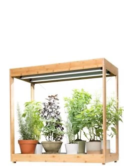 Medium Bamboo LED Grow Light Garden -Gardenhaus Shop 8597883 1011 tif