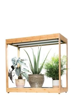Medium Bamboo LED Grow Light Garden -Gardenhaus Shop 8597883 1012 tif