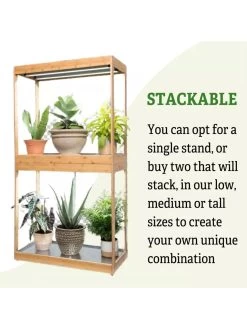 Medium Bamboo LED Grow Light Garden -Gardenhaus Shop 8597883 6