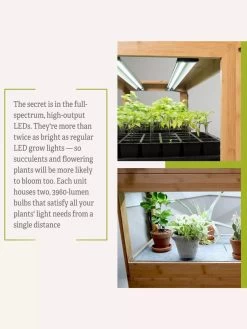 Bamboo LED Grow Light Garden For Succulents And Seeds 22 Bamboo LED Grow Light Garden For Succulents And Seeds -Gardenhaus Shop 8598084 7