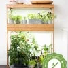 Bamboo Home LED Grow Light Garden -Gardenhaus Shop 8598088 5i