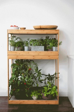 Bamboo Home LED Grow Light Garden -Gardenhaus Shop 8598088 BambooLEDHomeGarden light gif