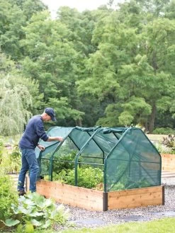 3-Season Plant Protection Tent, 4' X 8' -Gardenhaus Shop 8598282 0101 tif