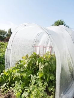 Super Hoop Bases, Set Of 6 -Gardenhaus Shop 8598301 0591 tif