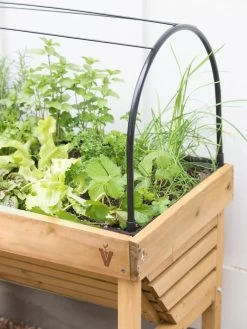 VegTrug® Mini Wallhugger Planter With Cover -Gardenhaus Shop 8598339 4004 tif