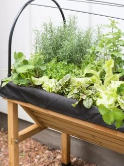 VegTrug® Mini Wallhugger Planter With Cover -Gardenhaus Shop 8598339 4005 tif