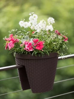 Weave Round Railing Planter, 11" -Gardenhaus Shop 8598370 8584 tif